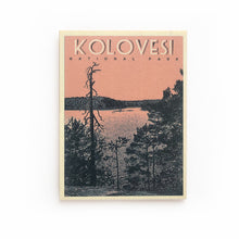Lataa kuva Galleria-katseluun, Kansallispuisto-magneetti, useita erilaisia